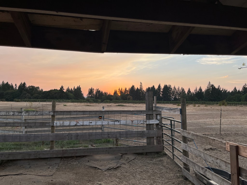 A Gentle Reminder for the Animal Communicator